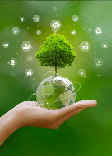 Evaluation de la performance RSE
